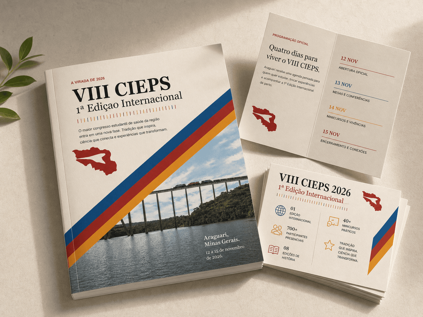Programa editorial do VIII CIEPS com a identidade visual do congresso